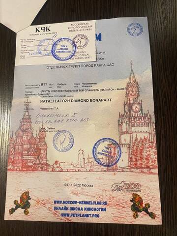 https://upforme.ru/uploads/0000/27/eb/1848/t433843.jpg