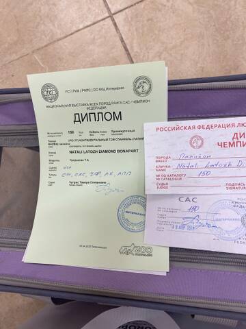 https://upforme.ru/uploads/0000/27/eb/1848/t454961.jpg