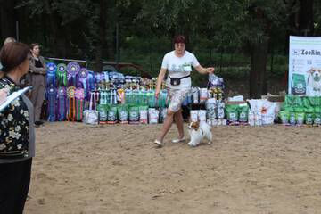 https://upforme.ru/uploads/0000/27/eb/1848/t459701.jpg