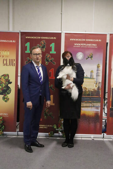https://upforme.ru/uploads/0000/27/eb/1848/t500911.jpg