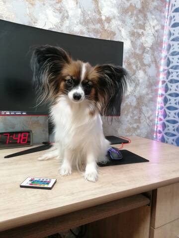 https://upforme.ru/uploads/0000/27/eb/1848/t540213.jpg