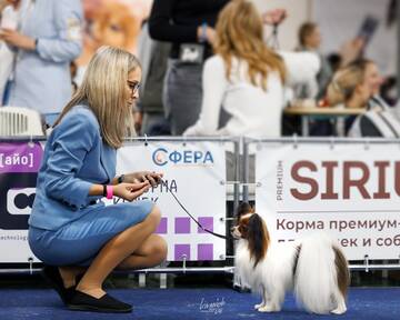 https://upforme.ru/uploads/0000/27/eb/1848/t555602.jpg