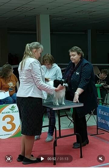 https://upforme.ru/uploads/0000/27/eb/1848/t582784.jpg