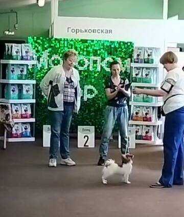 https://upforme.ru/uploads/0000/27/eb/1848/t588894.jpg