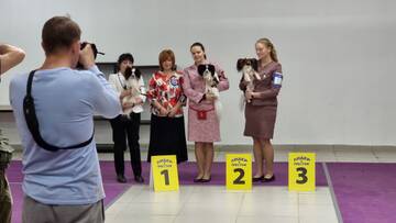 https://upforme.ru/uploads/0000/27/eb/1848/t598470.jpg