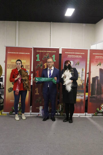 https://upforme.ru/uploads/0000/27/eb/1848/t63991.jpg