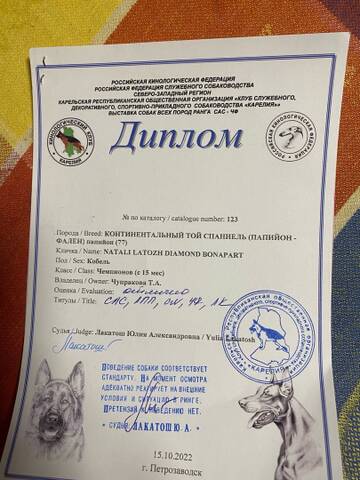 https://upforme.ru/uploads/0000/27/eb/1848/t681768.jpg