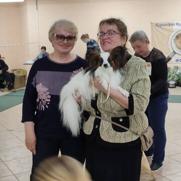 https://upforme.ru/uploads/0000/27/eb/1848/t683231.jpg
