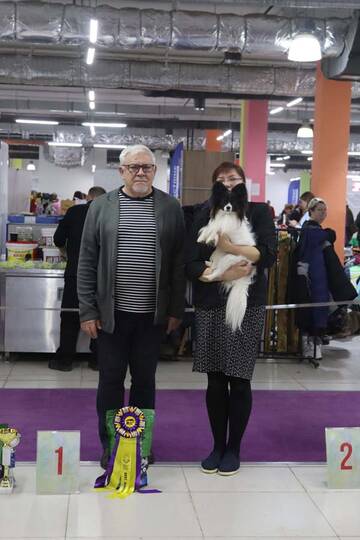 https://upforme.ru/uploads/0000/27/eb/1848/t719904.jpg