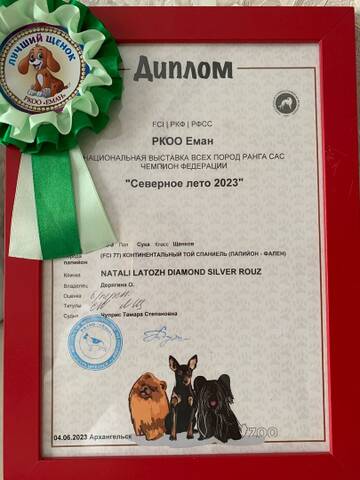 https://upforme.ru/uploads/0000/27/eb/1848/t735285.jpg