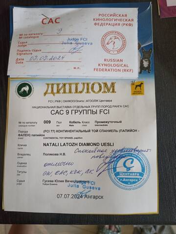 https://upforme.ru/uploads/0000/27/eb/1848/t74442.jpg