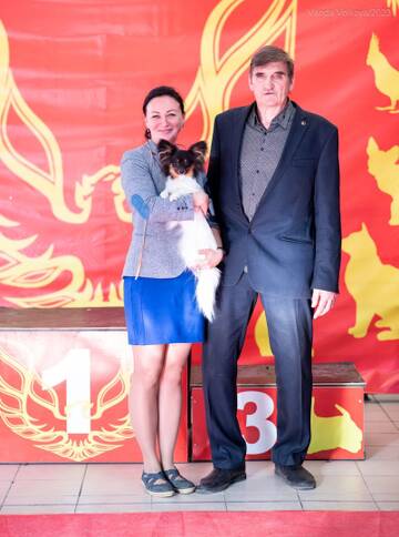 https://upforme.ru/uploads/0000/27/eb/1848/t764513.jpg