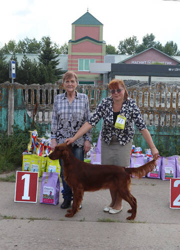 https://upforme.ru/uploads/0000/27/eb/1848/t782040.jpg