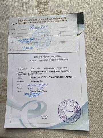 https://upforme.ru/uploads/0000/27/eb/1848/t791233.jpg