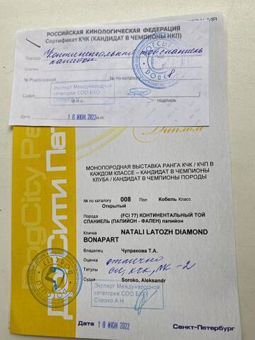 https://upforme.ru/uploads/0000/27/eb/1848/t903532.jpg
