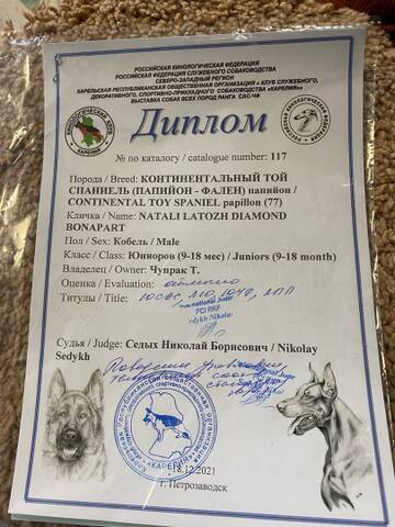 https://upforme.ru/uploads/0000/27/eb/1848/t923442.jpg