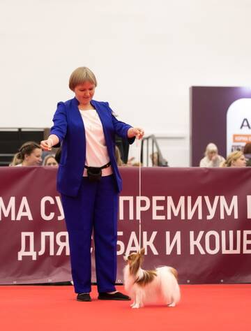 https://upforme.ru/uploads/0000/27/eb/1848/t924066.jpg