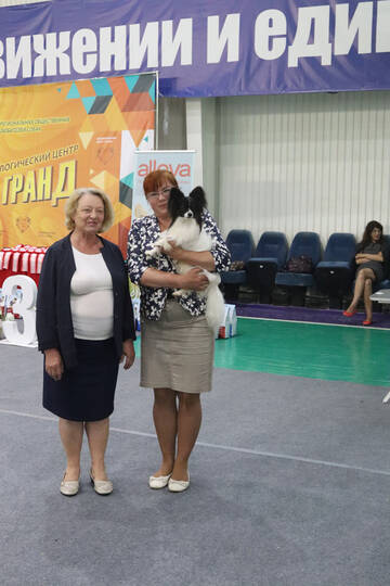 https://upforme.ru/uploads/0000/27/eb/1848/t94749.jpg