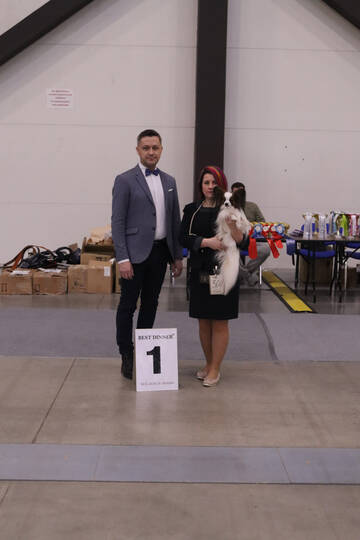 https://upforme.ru/uploads/0000/27/eb/1848/t954545.jpg