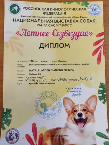 https://upforme.ru/uploads/0000/27/eb/1848/t967012.jpg