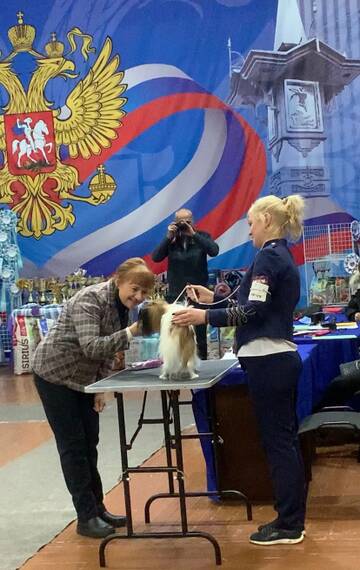 https://upforme.ru/uploads/0000/27/eb/1848/t997104.jpg