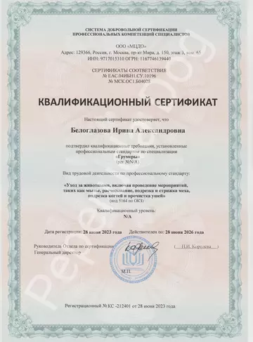 https://upforme.ru/uploads/0000/27/eb/483/t74254.webp