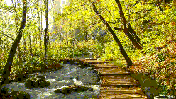https://upforme.ru/uploads/0000/28/00/3/t274193.gif