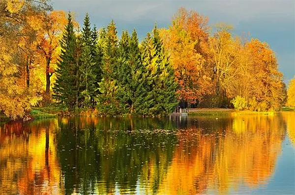 https://upforme.ru/uploads/0000/28/00/3/t809754.png