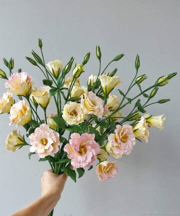 https://upforme.ru/uploads/0000/2c/32/1699/t961556.jpg