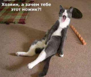 https://upforme.ru/uploads/0000/35/39/15358-1.jpg