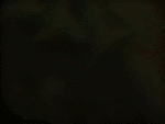 https://upforme.ru/uploads/0000/35/39/156687-3.gif