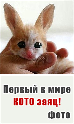 https://upforme.ru/uploads/0000/35/39/191458-1-f.jpg