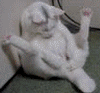 https://upforme.ru/uploads/0000/35/39/28412-1.gif