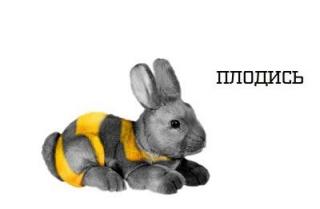 https://upforme.ru/uploads/0000/35/39/31552-1.jpg