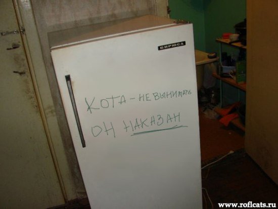https://upforme.ru/uploads/0000/93/ae/41633-3-f.jpg