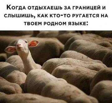 https://upforme.ru/uploads/0000/d0/8c/2718/t208542.jpg