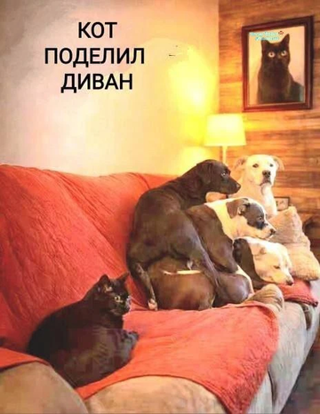 https://upforme.ru/uploads/0000/d0/8c/2718/t531995.png