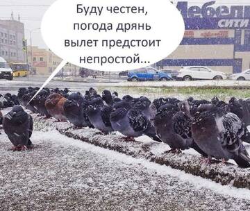 https://upforme.ru/uploads/0000/d0/8c/2718/t806493.jpg