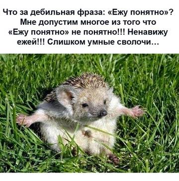 https://upforme.ru/uploads/0000/d3/70/4918/t11681.jpg