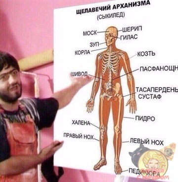 https://upforme.ru/uploads/0000/d3/70/4918/t158882.webp