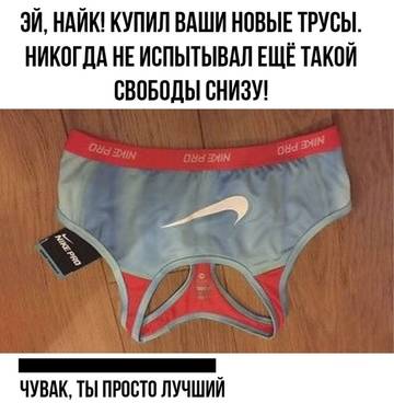 https://upforme.ru/uploads/0000/d3/70/4918/t224843.jpg