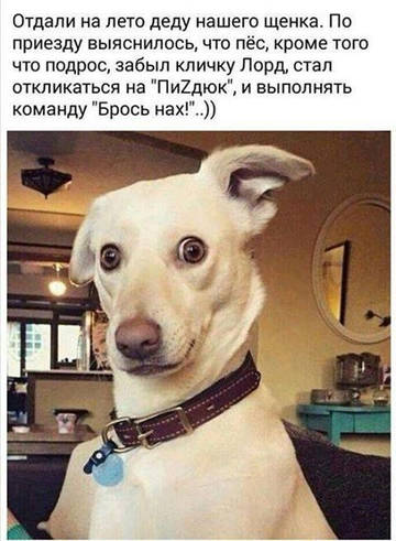 https://upforme.ru/uploads/0000/d3/70/4918/t23726.jpg