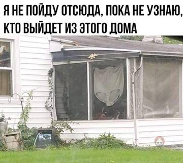 https://upforme.ru/uploads/0000/d3/70/4918/t246299.jpg