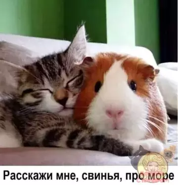 https://upforme.ru/uploads/0000/d3/70/4918/t258199.webp