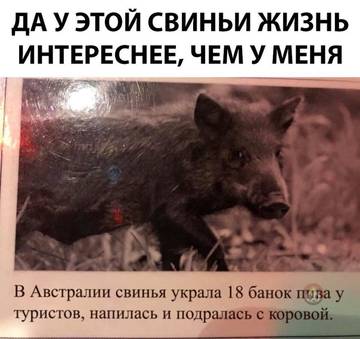 https://upforme.ru/uploads/0000/d3/70/4918/t377125.jpg
