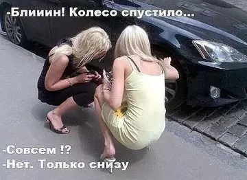 https://upforme.ru/uploads/0000/d3/70/4918/t391510.webp