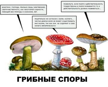 https://upforme.ru/uploads/0000/d3/70/4918/t519047.jpg
