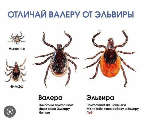 https://upforme.ru/uploads/0000/d3/70/4918/t559177.jpg