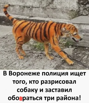 https://upforme.ru/uploads/0000/d3/70/4918/t648944.webp
