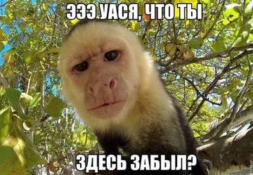 https://upforme.ru/uploads/0000/d3/70/4918/t65993.jpg